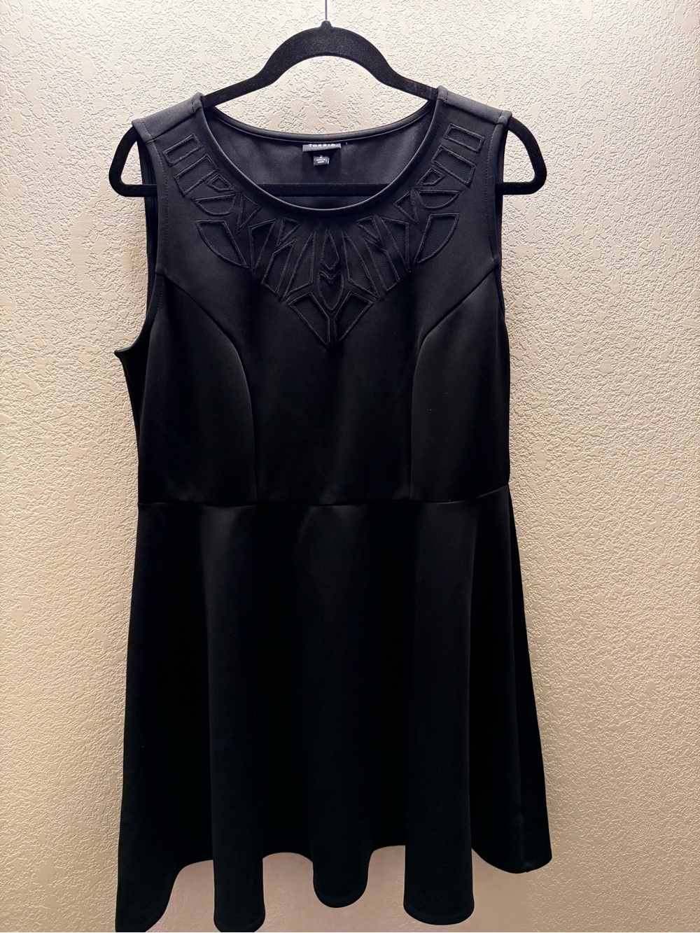 torrid Black Sleeveless Mini Dress with Embroidered Neckline